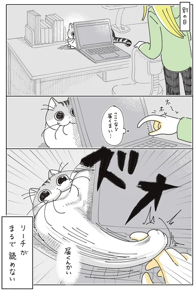 『夜は猫といっしょ9』より