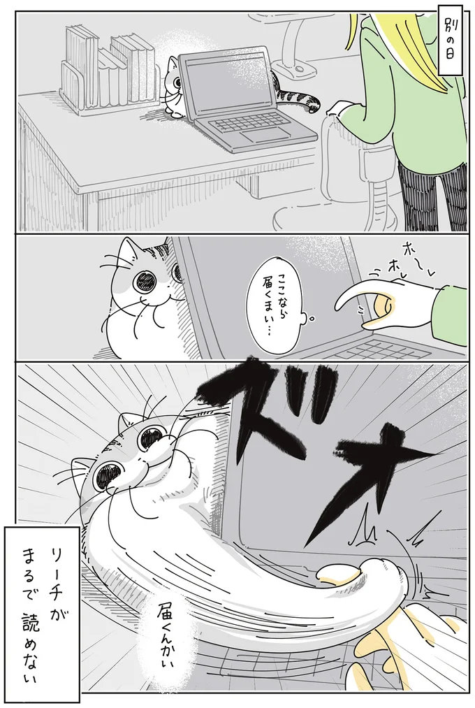 『夜は猫といっしょ9』より