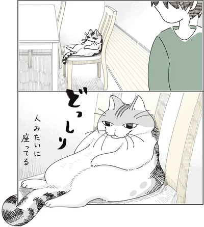 『夜は猫といっしょ9』より