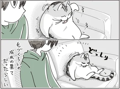 『夜は猫といっしょ9』より