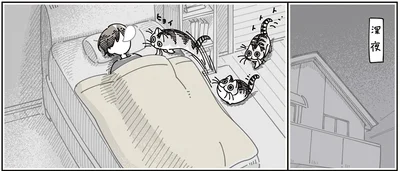 『夜は猫といっしょ9』より