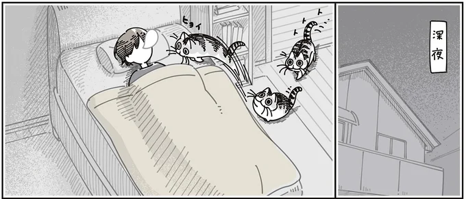 『夜は猫といっしょ9』より