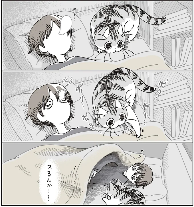 『夜は猫といっしょ9』より