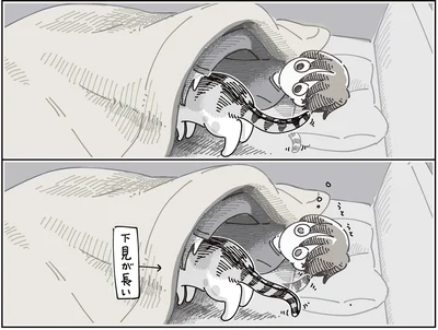 『夜は猫といっしょ9』より