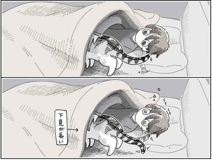 『夜は猫といっしょ9』より