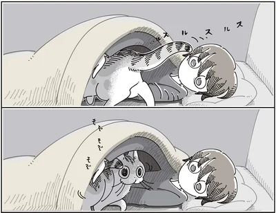 『夜は猫といっしょ9』より