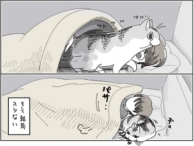 『夜は猫といっしょ9』より