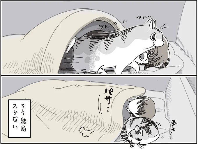 『夜は猫といっしょ9』より