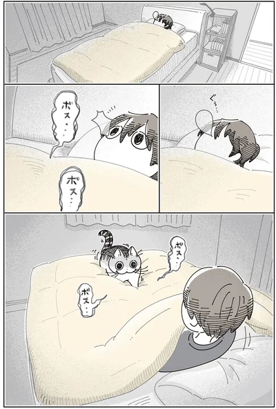 『夜は猫といっしょ9』より