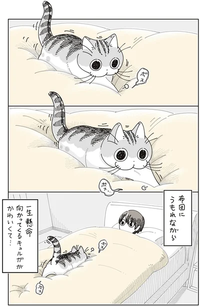 『夜は猫といっしょ9』より