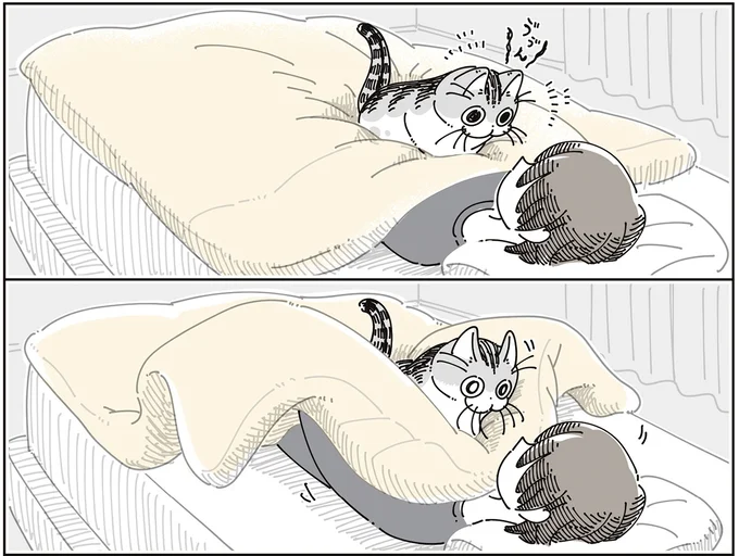 『夜は猫といっしょ9』より
