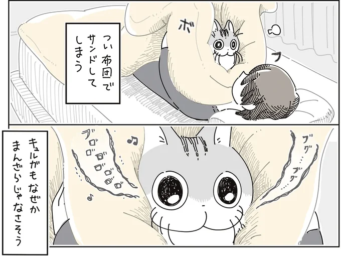 『夜は猫といっしょ9』より