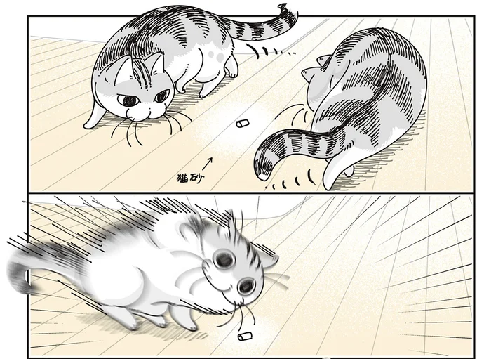 『夜は猫といっしょ9』より