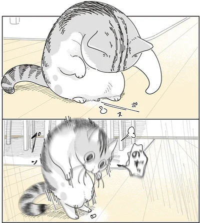 『夜は猫といっしょ9』より