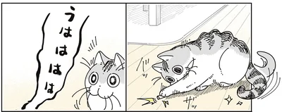 『夜は猫といっしょ9』より
