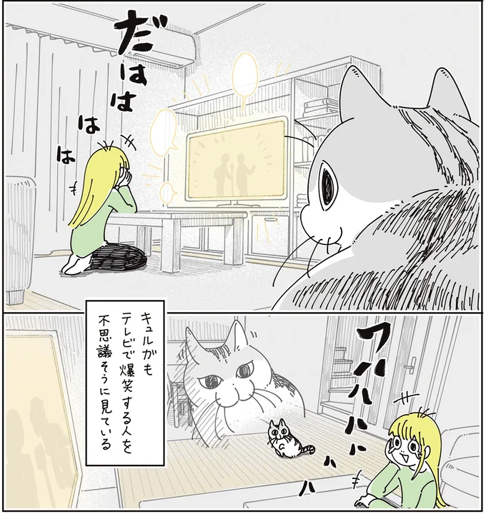 『夜は猫といっしょ9』より