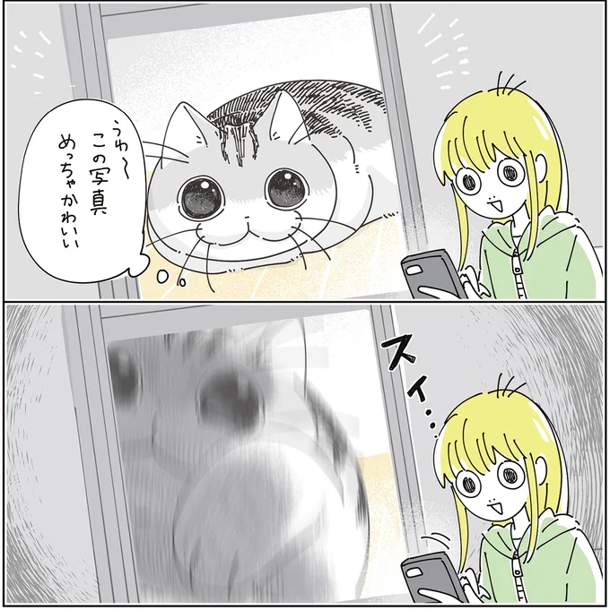 『夜は猫といっしょ9』より
