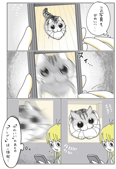 『夜は猫といっしょ9』より