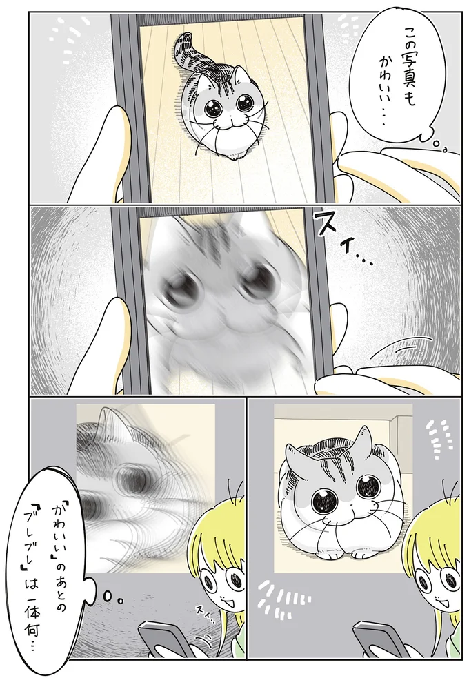 『夜は猫といっしょ9』より