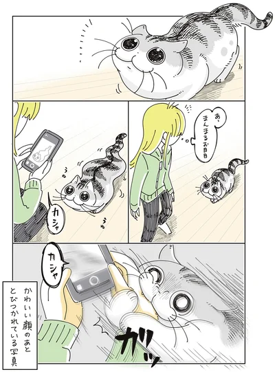 『夜は猫といっしょ9』より