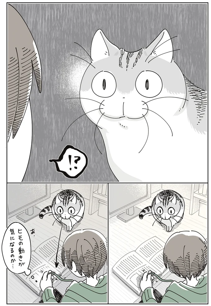 『夜は猫といっしょ9』より
