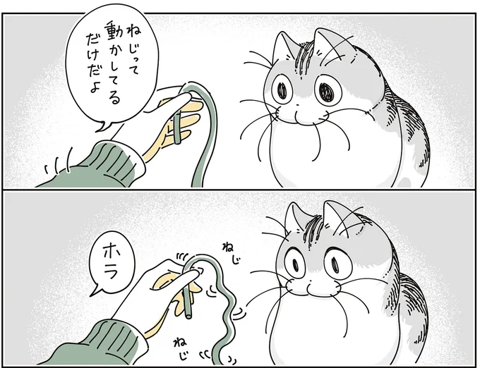 『夜は猫といっしょ9』より
