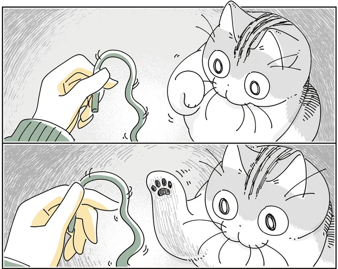 『夜は猫といっしょ9』より