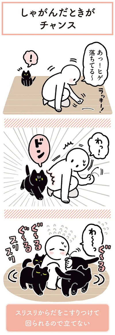 『黒猫ろんと暮らしたら4』より