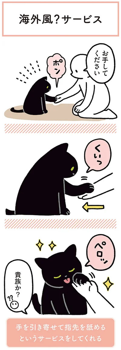 『黒猫ろんと暮らしたら4』より