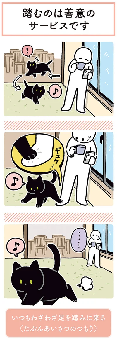 『黒猫ろんと暮らしたら4』より