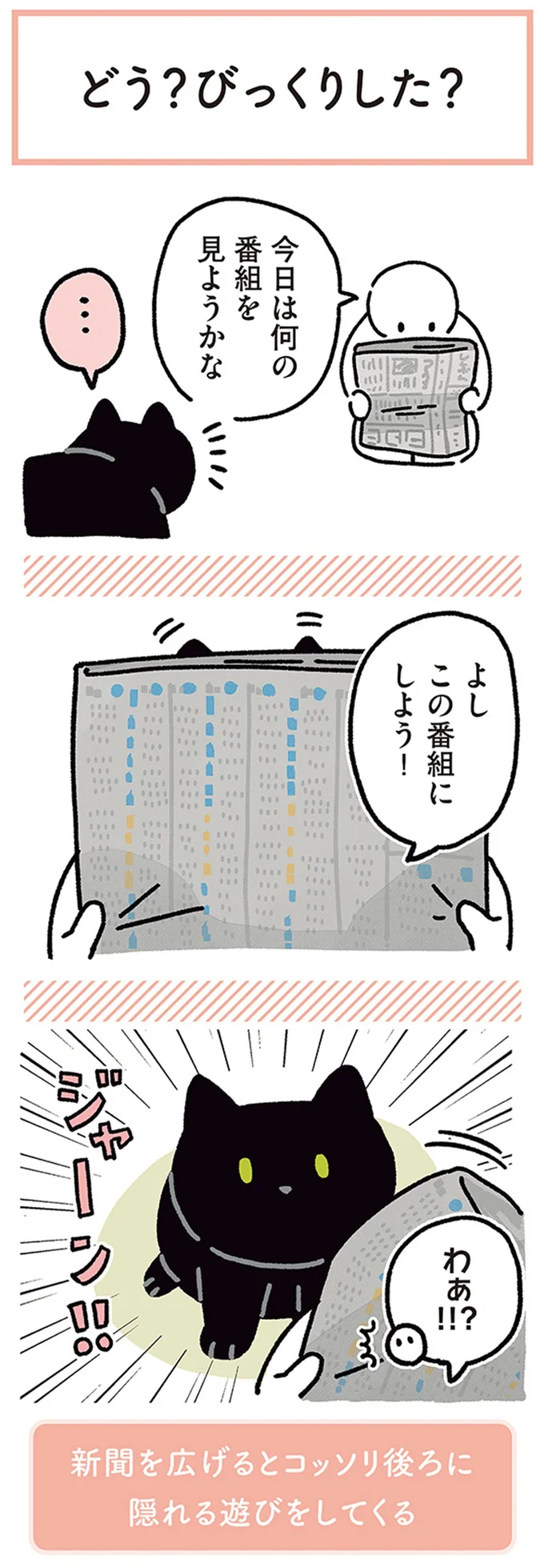 『黒猫ろんと暮らしたら4』より