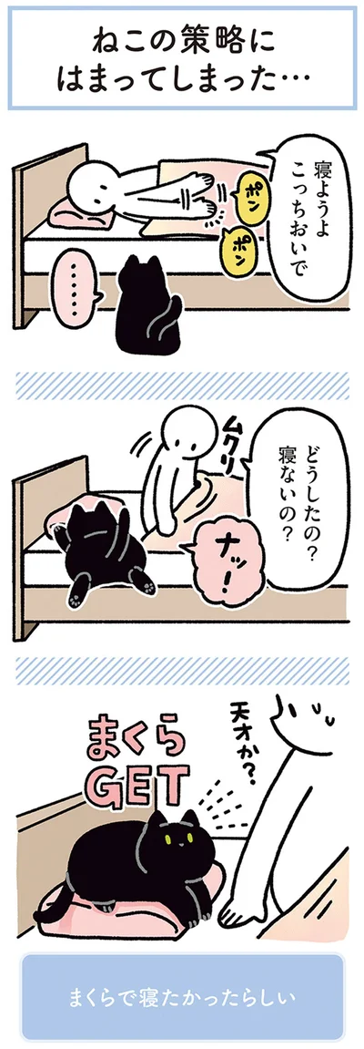『黒猫ろんと暮らしたら4』より
