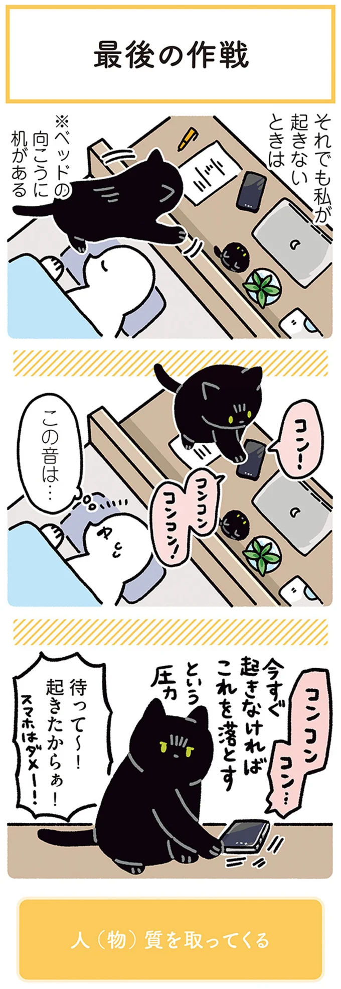 『黒猫ろんと暮らしたら4』より
