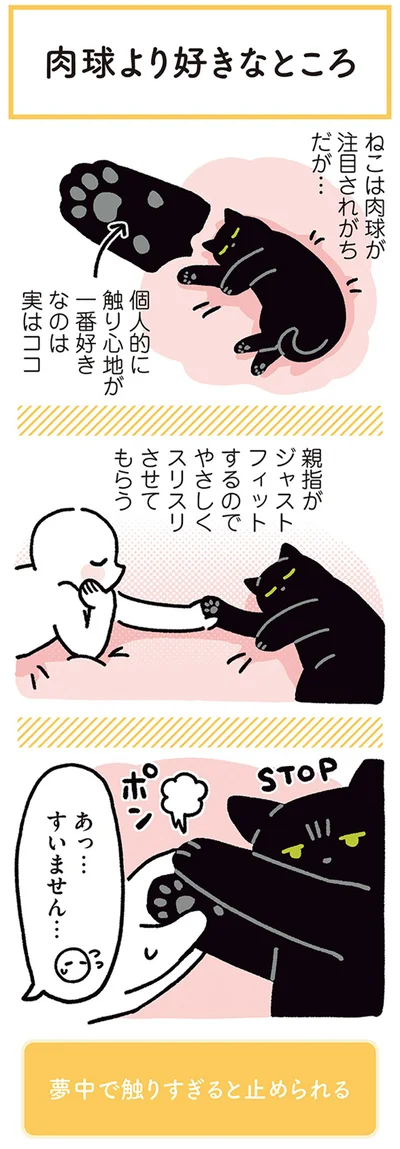『黒猫ろんと暮らしたら4』より