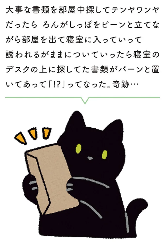 『黒猫ろんと暮らしたら4』より