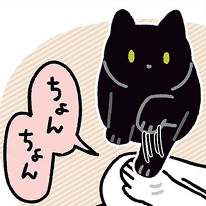 ちょんちょん、ちょんちょん。黒猫ろんの気の引き方がかわいすぎる