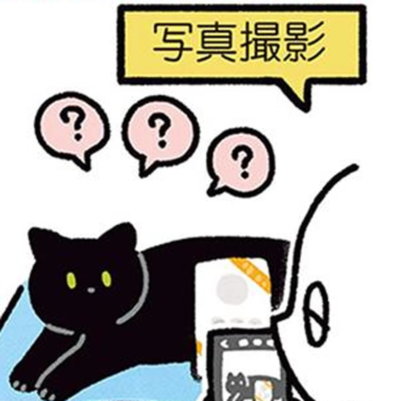 飼い主さんあるある？黒猫ろんと記念撮影をするタイミング - レタスクラブ
