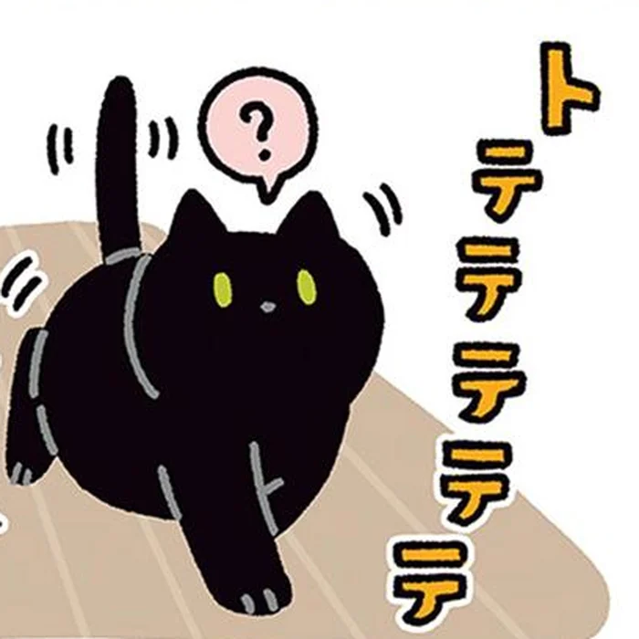 呼ぶと必ず来てくれる。あまりにも犬っぽい黒猫ろん