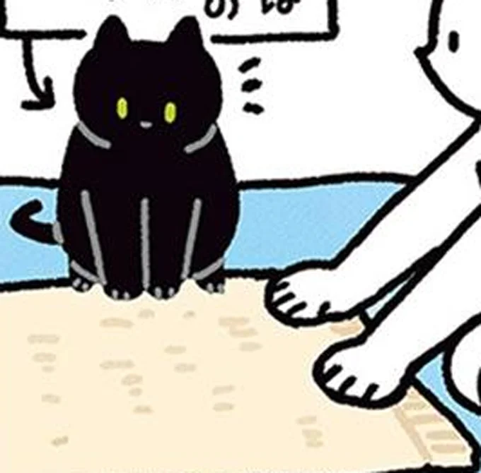 バスタオルを敷いた