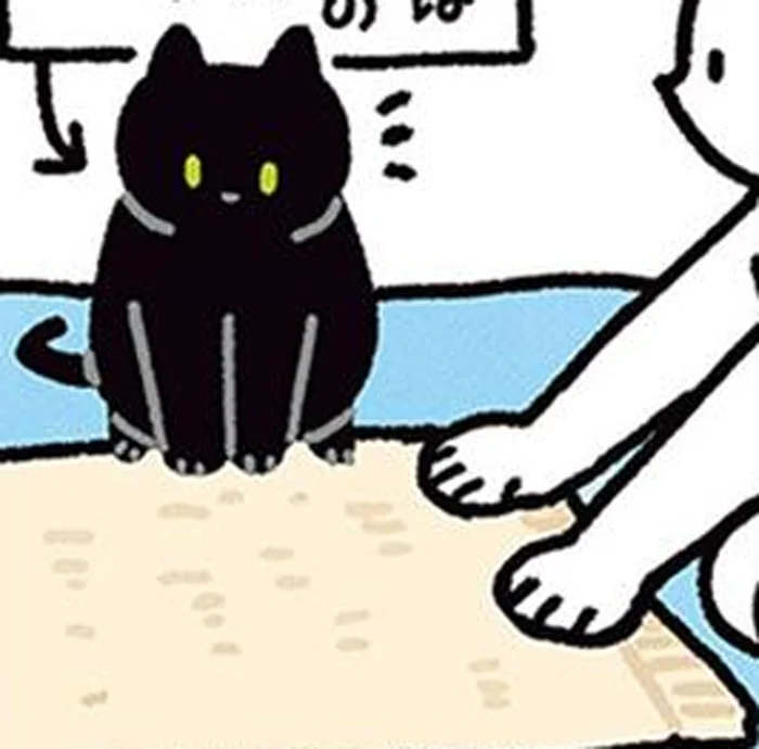 夏に困っていた黒猫ろんの寝るスペース問題。バスタオル1枚で解決しました
