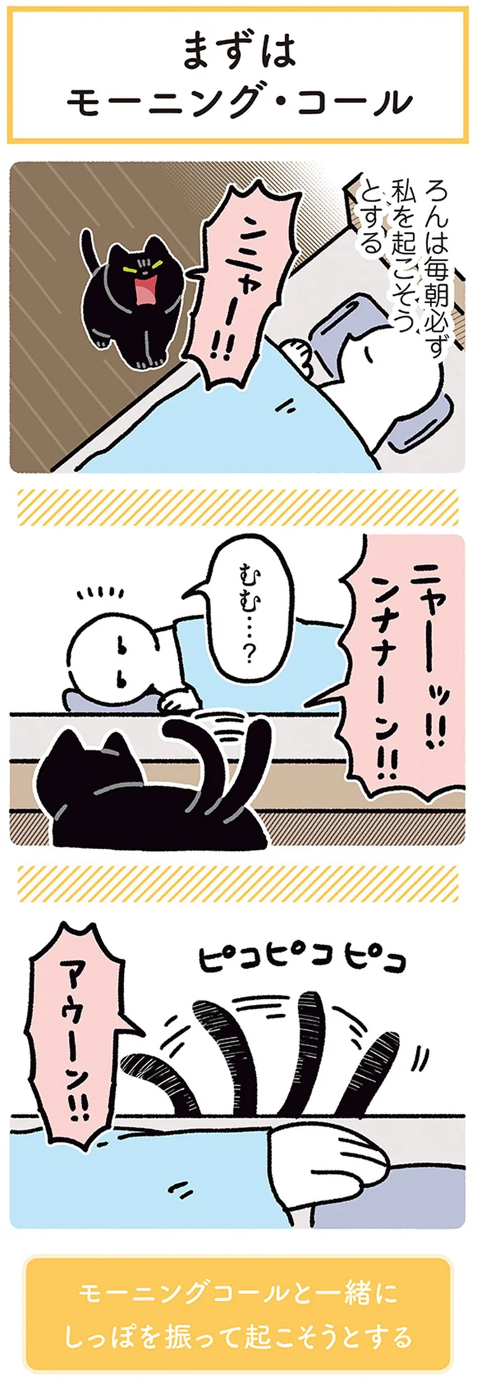 毎朝必ず私を起こそうとする