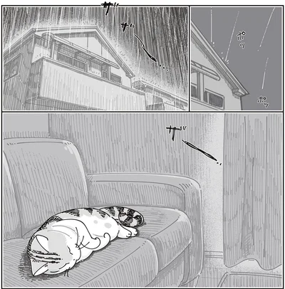 雨の日