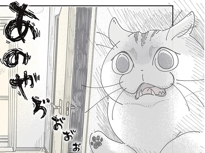 文句を言うネコ