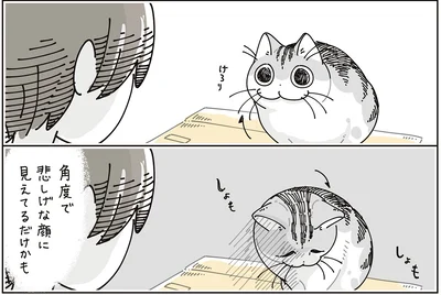 しょもしょも…