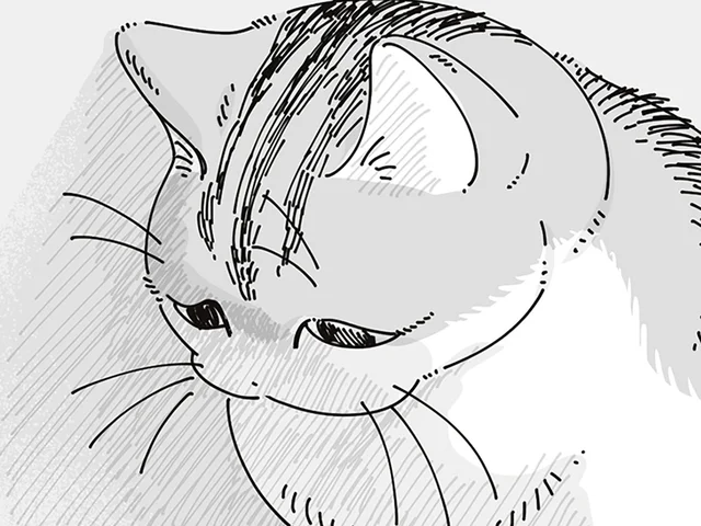 悲しげな顔してる!! さっきまで全然使ってなかったダンボールの上で表情豊かなネコ