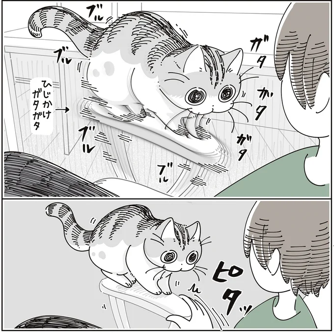 ピタッ