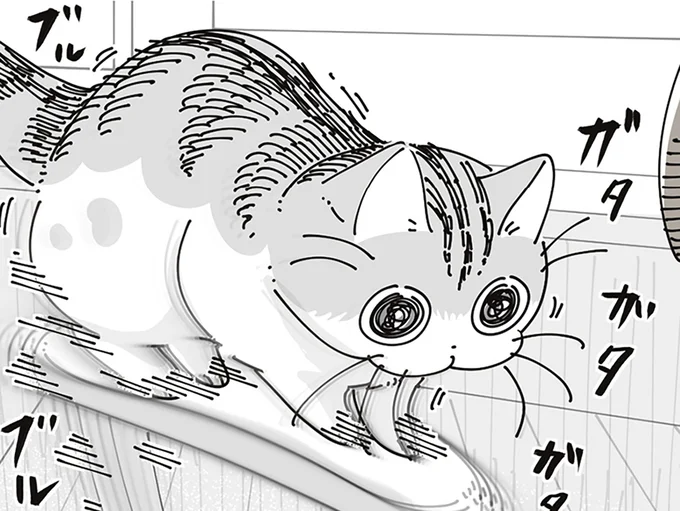 ブルブルガタガタ