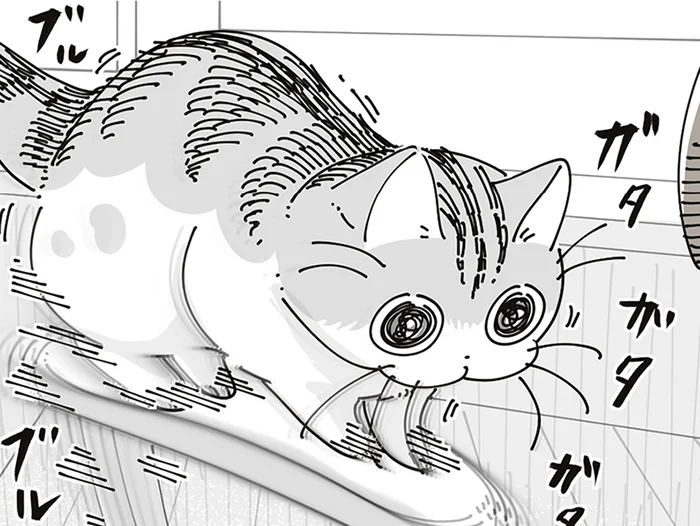 ひじかけに乗り、ブルブルガタガタするネコ。困っているようには見えないけれど