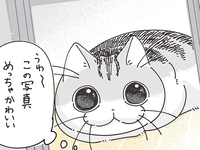 「この写真かわいい」と思ったものの直後には必ずブレブレの写真が。ネコに関するミステリー