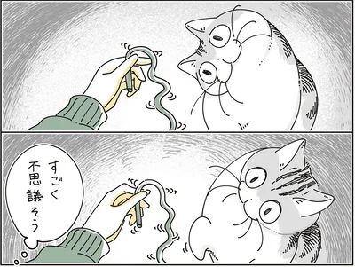 すごく不思議そう